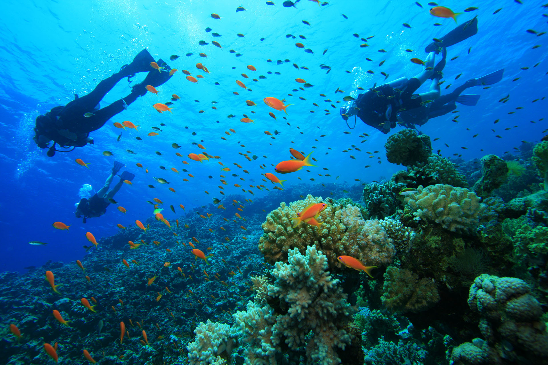 WRFS-Background-1
